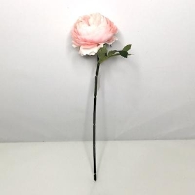 Soft Pink Ranunculus 28cm