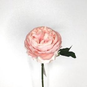 Soft Pink Ranunculus 28cm