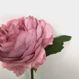 Mauve Ranunculus 28cm