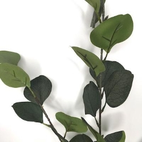 Dark Green Eucalyptus 75cm