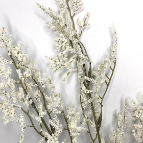 Ivory Limonium 74cm