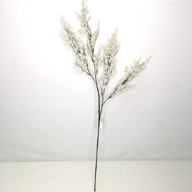 Ivory Limonium 74cm