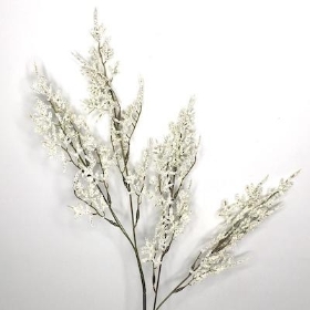 Ivory Limonium 74cm