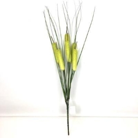 36 x Assorted Bullrush And Grass Bush 35cm