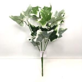 48 x Variegated Mini Ivy Bush 26cm