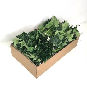 48 x Green Mini Ivy Bush 26cm