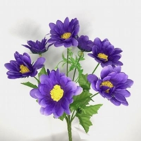 Purple Daisy Bush 28cm
