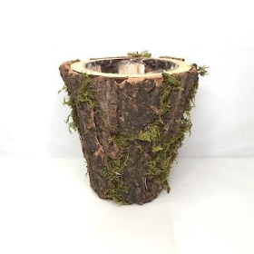 Bark And Moss Planter 16cm