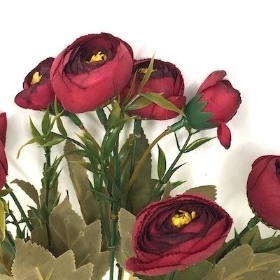 Burgundy Ranunculus Bush 28cm