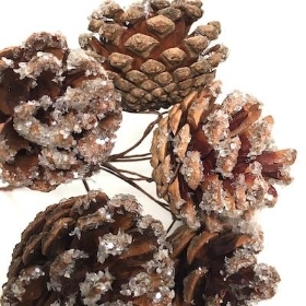 Frosted Pinecone Pick x 6