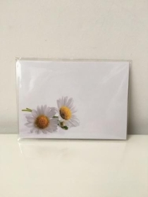 Large Florist Cards White Daisies