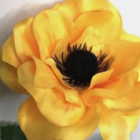 Yellow Anemone 48cm