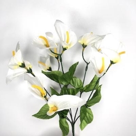 Ivory Calla Lily Bush 34cm