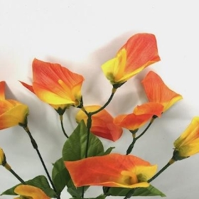 Orange Calla Lily Bush 34cm