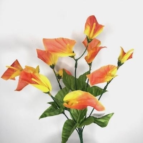 Orange Calla Lily Bush 34cm