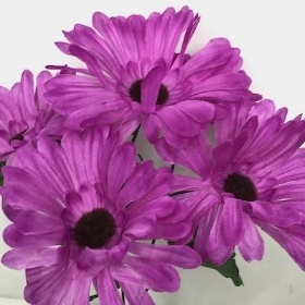 Purple Gerbera Bush 31cm