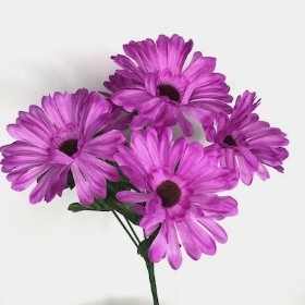 Purple Gerbera Bush 31cm