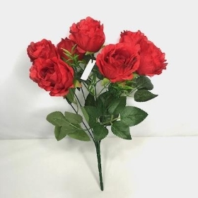 Red Crinkle Rose Bush 34cm