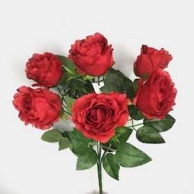 Red Crinkle Rose Bush 34cm