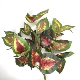 Red Green Coleus Bush 41cm