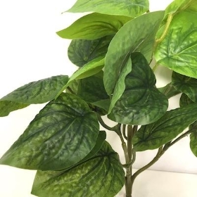 Green Mix Foliage Bush 26cm