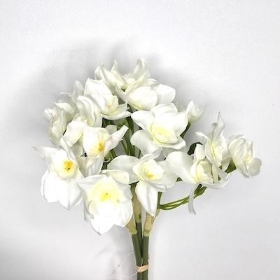 White Daffodil Bundle 55cm
