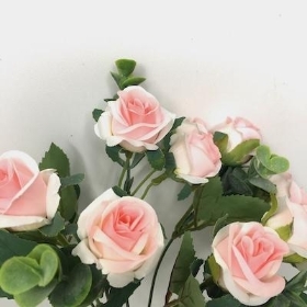 Pink Mini Rose And Eucalyptus Bush 29cm