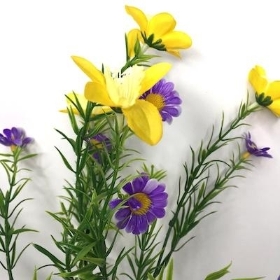 Narcissus And Purple Daisy Bush 35cm