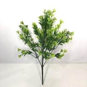 Green Caltha Bush 34cm