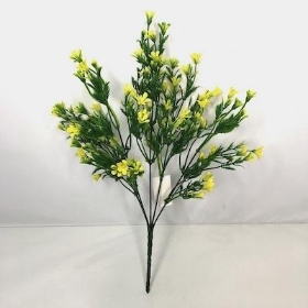 Yellow Caltha Bush 34cm