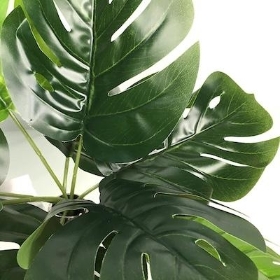 Green Monstera Bush 26cm