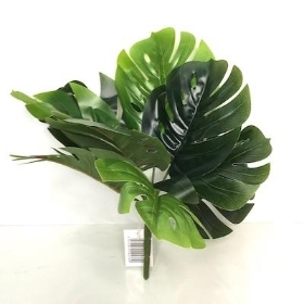 Green Monstera Bush 26cm