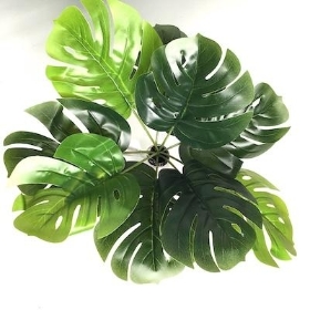 Green Monstera Bush 26cm