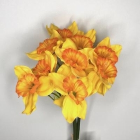 Yellow Orange Daffodil Bundle 56cm