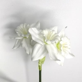 Ivory Daffodil Bundle 56cm