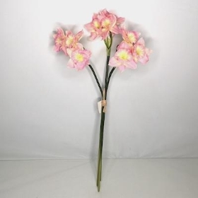 Pink Daffodil Bundle 56cm