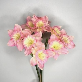 Pink Daffodil Bundle 56cm
