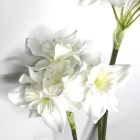 White Daffodil Spray 63cm