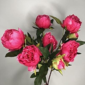 Cerise Peony Bush 58cm