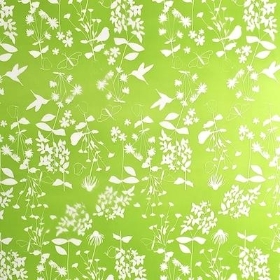 Lime Green Harper Cellophane 60m