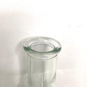 Clear Caribou Bottle Vase 19cm