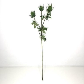 Green Thistle Spray 64cm