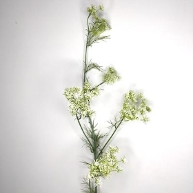 Queen Annes Lace 118cm