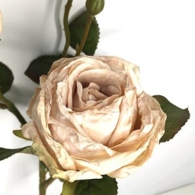 Oyster Dried Spray Rose 51cm