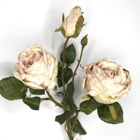 Oyster Dried Spray Rose 51cm