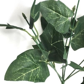 Green Ivy Bush 30cm
