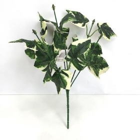 Variegated Ivy Bush 30cm