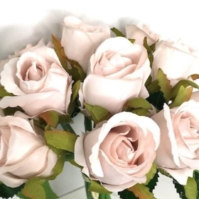 Nude Pink Rosebud Bundle 26cm