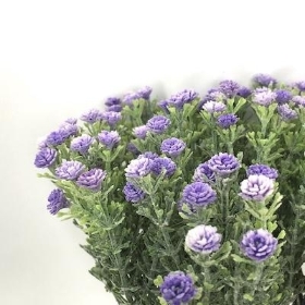 Lilac Frosted Gyp Bundle 33cm