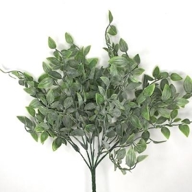 Frosted Green Ruscus Spray 59cm